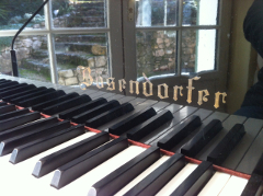 Bösendorfer